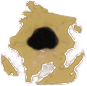 bullet hole